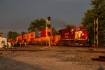 CP 8164